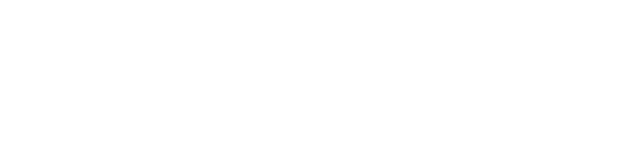 document-rapid-logo-wide-white